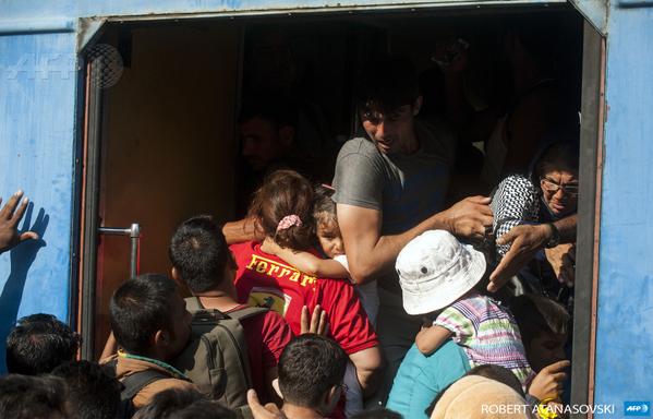لحظه هجوم مهاجران به یک قطار صربستانی + تصاویر