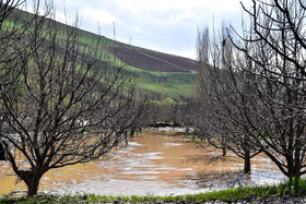 جاری شدن سیل در روستاهای آذربایجان غربی